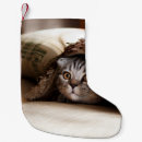 Suche nach scottish weihnachts strümpfe Wild