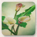 Suche nach calla untersetzer Lilie