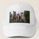 Suche nach horse kappen Pferde