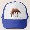 Recherche de amish accessoires Cheval