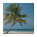 Recherche de belize carreaux Superstock