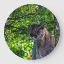 Suche nach puma wanduhren Berglöwe