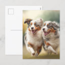 Suche nach hirten postkarten Hund