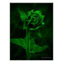 Recherche de tournesols posters Coloré