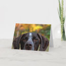 Suche nach gegangen karten Hund