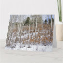 Suche nach birkenbaum karten Wald