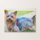 Suche nach yorkie puzzle Niedlich
