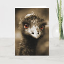 Recherche de autruche drôle vœux cartes Mignon