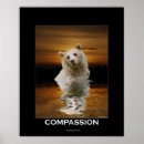 Suche nach spirit bear poster Tierwelt