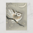 Recherche de hibou vintage cartes postales Lune
