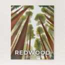 Recherche de arbre puzzles Aquarelle