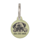 Recherche de caniche mignon animaux articles Chiens