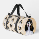 Recherche de cocker spaniel Dog