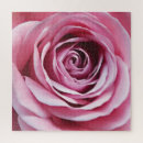 Suche nach romantik puzzle Rose