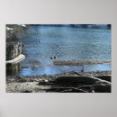 Suche nach root poster Fotografie