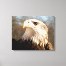 Suche nach amerikanischer adler leinwandbilder Patriotisch