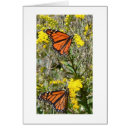 Suche nach goldrute postkarten Schmetterling