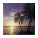 Suche nach palmen fliesen Landschaftlich