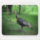 Recherche de chasse à oiseau tapis souris Oiseaux