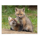 Suche nach liebe mein bruder poster Schwester