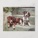 Suche nach beagle welpe postkarten Hund