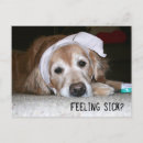 Suche nach bandage postkarten Krank