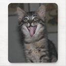 Recherche de tablette tapis souris Chaton