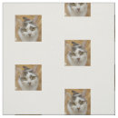 Suche nach foto stoffe Hund