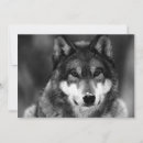 Recherche de loup noir invitations Loups