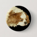 Suche nach kavalier buttons Charles