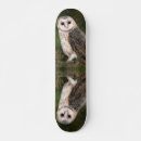 Recherche de le géant skateboards Pour tous