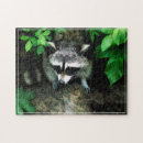 Recherche de raccoon puzzles Racoon