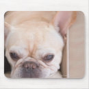 Suche nach der französischen bulldogge mousepads Vertikal