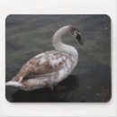 Suche nach weißer vogel mousepads Grau