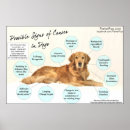 Suche nach goldener hund poster Tierarzt