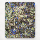 Recherche de arbustes tapis souris Arbres