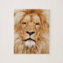 Suche nach face puzzle Katzen