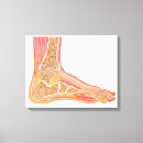 Suche nach menschlicher fuß leinwandbilder Nah up