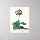 Suche nach pergament kunst Blumen