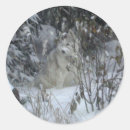 Suche nach siberian husky aufkleber Sibirisch