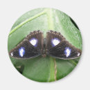 Recherche de tacheté magnets Animaux