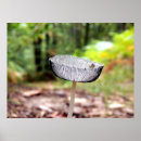 Recherche de bouchon posters Pour tous