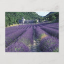 Suche nach provence postkarten Landwirtschaft