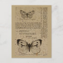 Recherche de papillon cartes postales Illustration