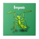 Suche nach mantis fliesen Gottesanbeterin