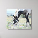 Suche nach western leinwandbilder Wild