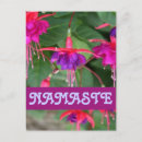 Recherche de fuschia cartes postales Violet