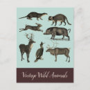 Recherche de animaux vintages cartes postales Loutre