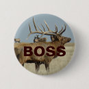 Recherche de mâle badges Faune