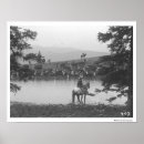 Suche nach vieh poster Foto